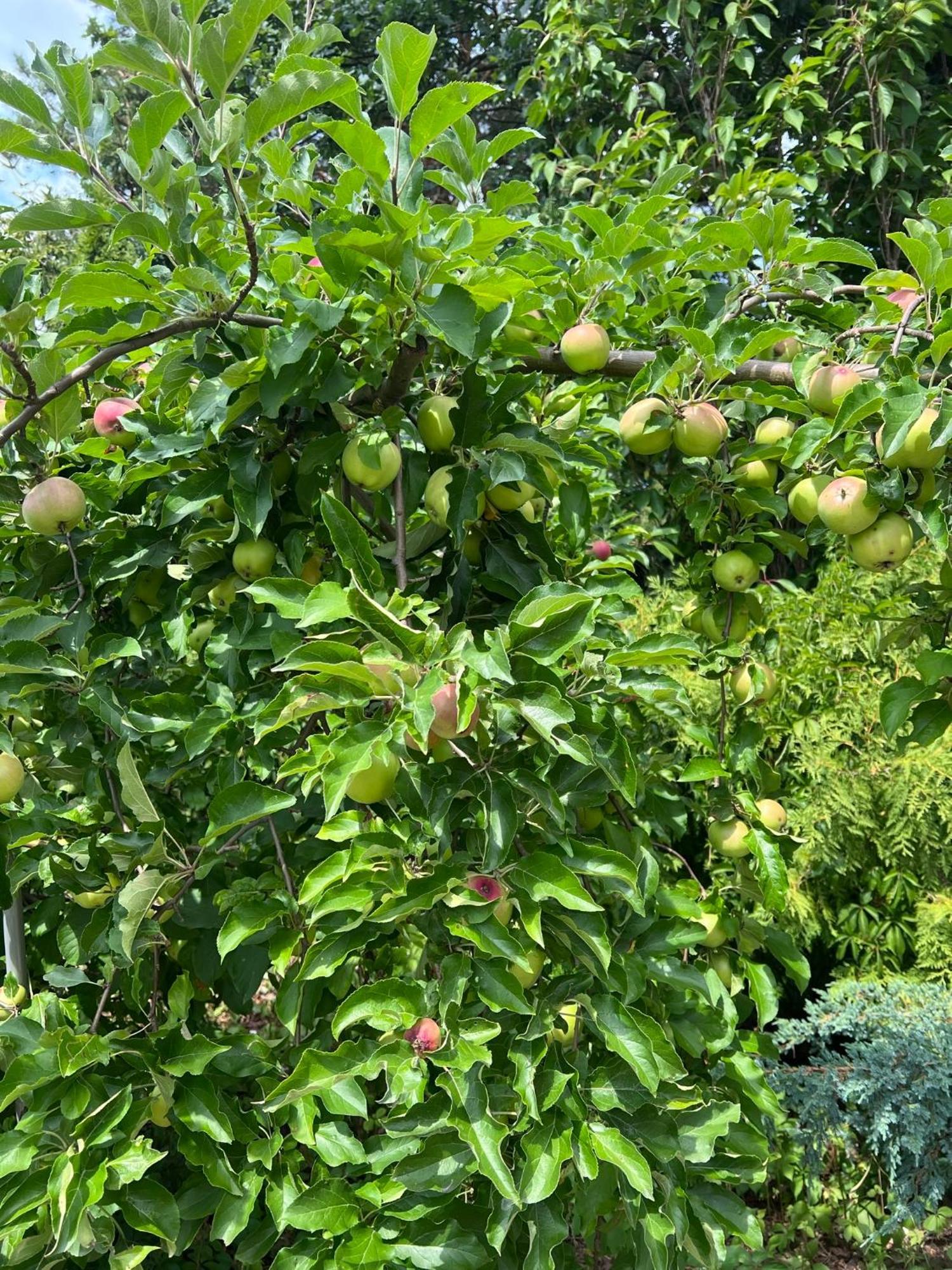 Osada Gesin Διαμέρισμα Zabor Εξωτερικό φωτογραφία